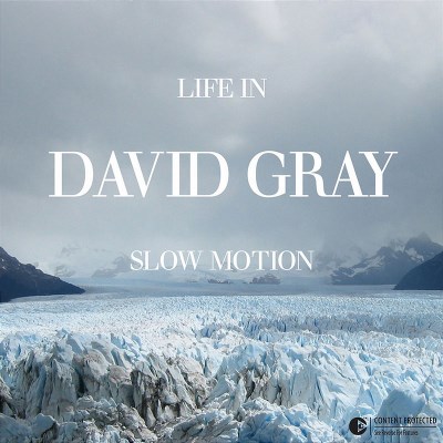 GRAY,DAVID/LIFE IN SLOW MOTION